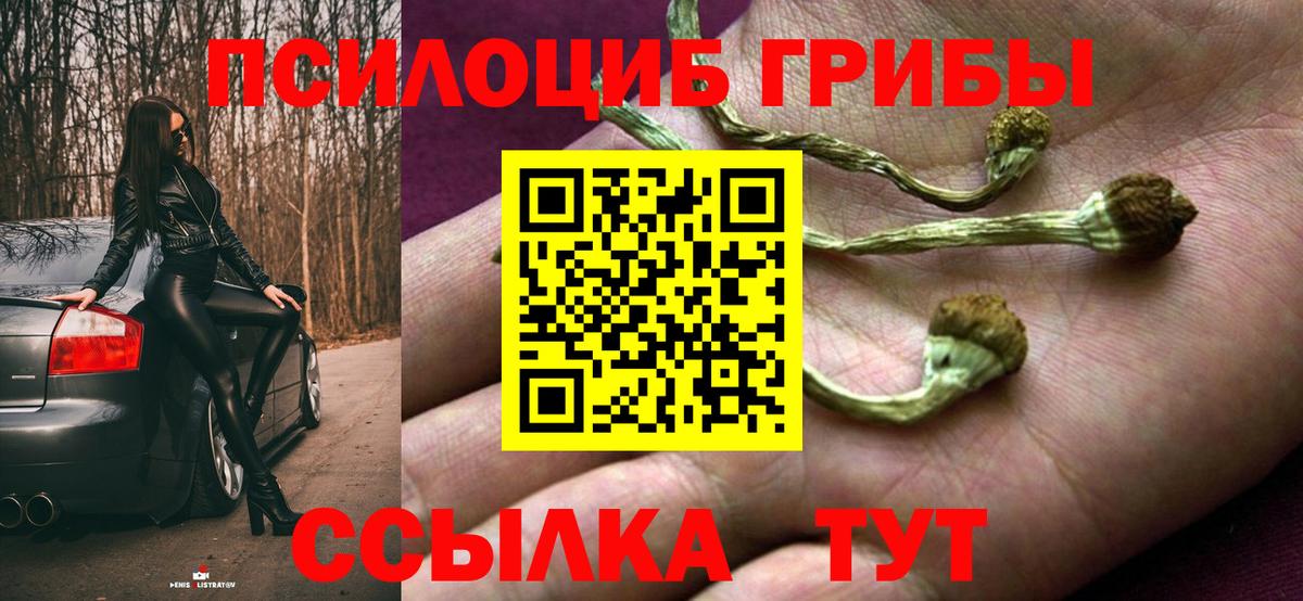 Псилоцибиновые грибы Magic Shrooms  Вход с VPN  Осинники 