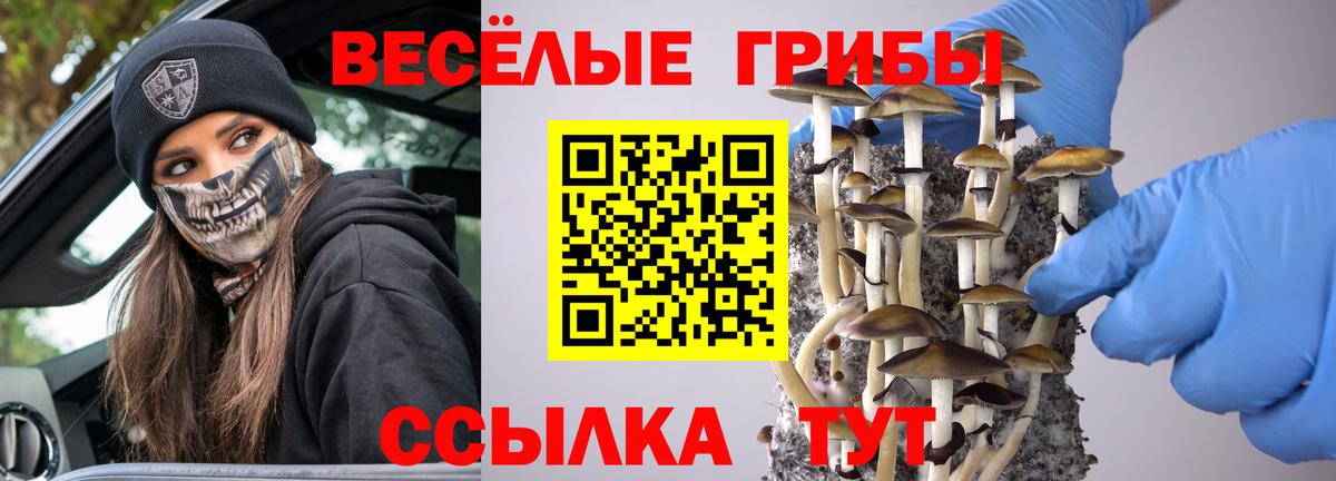 Галлюциногенные грибы Magic Shrooms Осинники